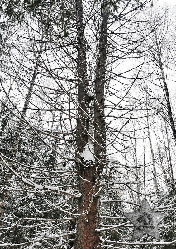 0_aac11_d735270c_XL.jpg