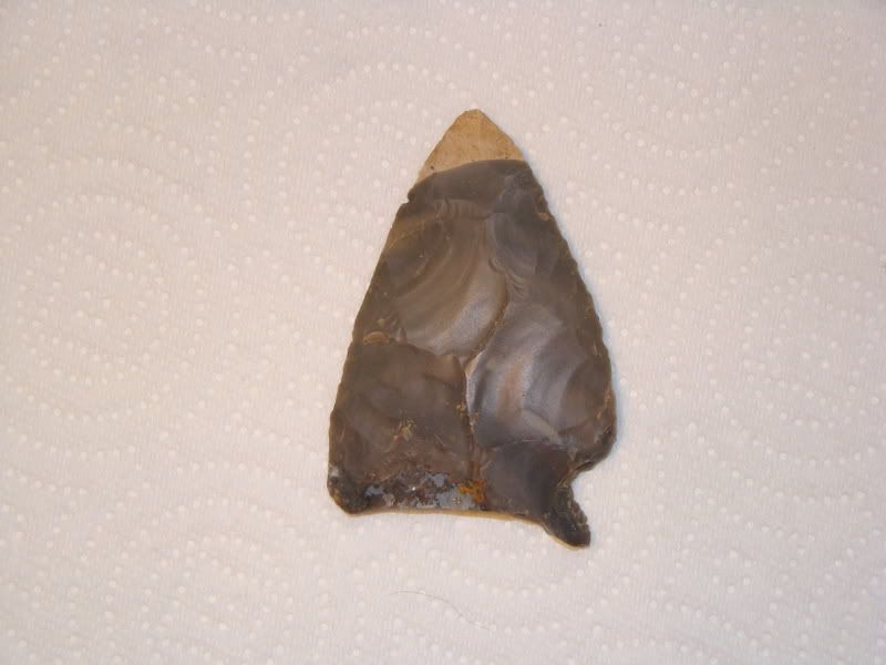 DSC00353.jpg