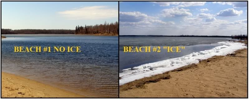 TWOBEACHES.jpg