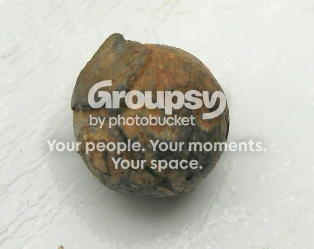 2-13-7-1.jpg