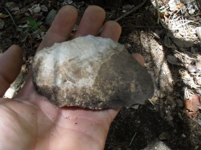 SDC10114.jpg