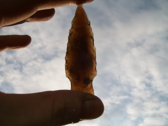 100_0567.jpg
