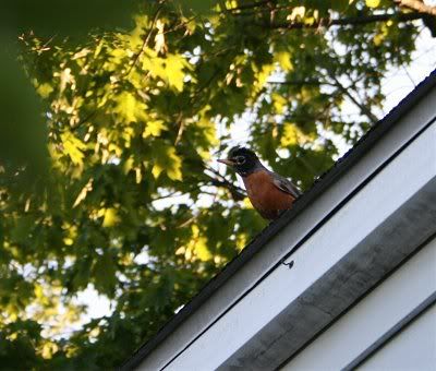 Image5.jpg