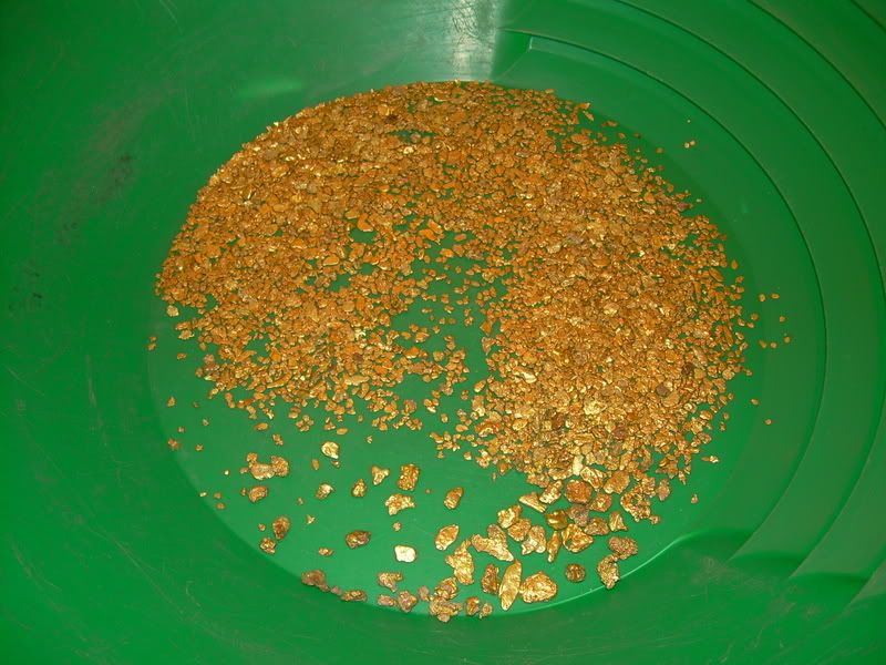 DSCN0265.jpg