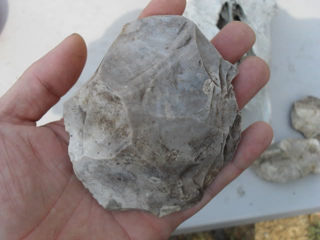 SDC10566.jpg