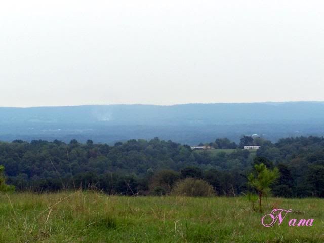 100_9138.jpg