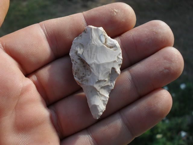 SDC10715.jpg
