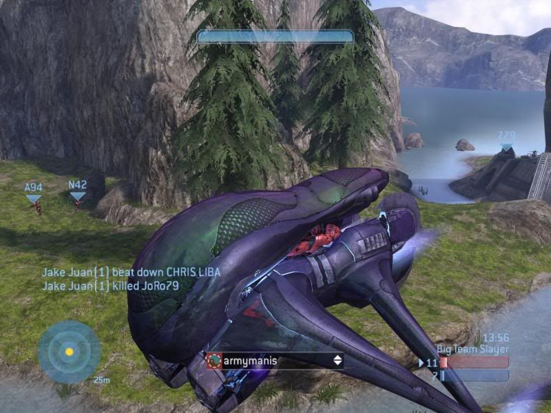 Flying.jpg