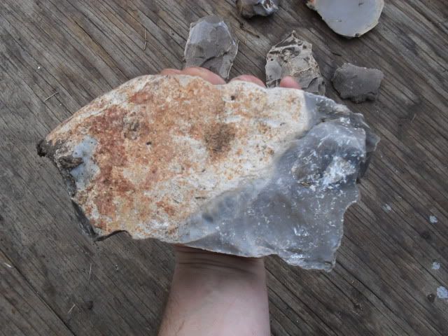 SDC10509.jpg