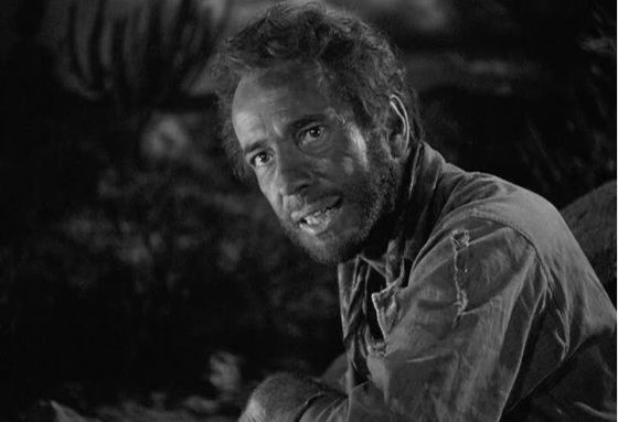The_Treasure_of_the_Sierra_Madre_Humphrey+Bogart.jpg