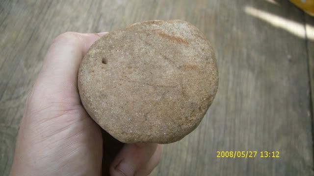 DSCI0879.jpg