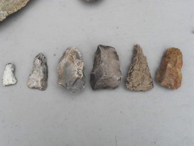 SDC11304.jpg