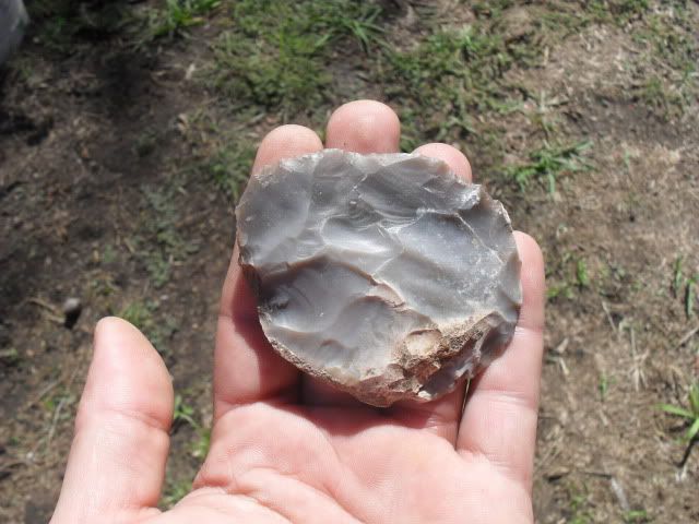 SDC10903.jpg