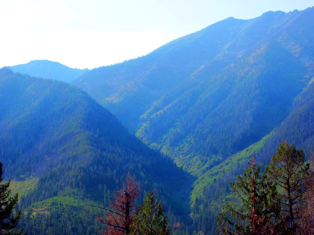 3b0782ef.jpg