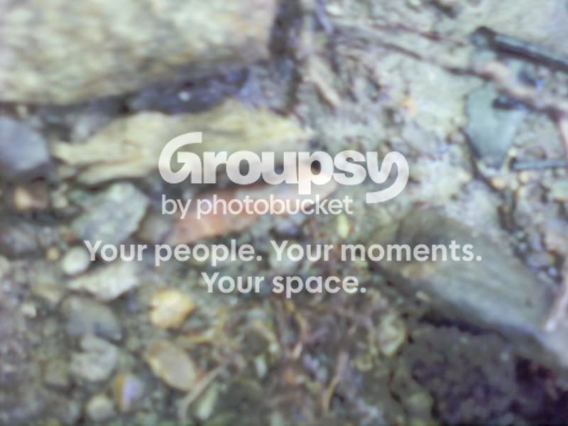 img1276984030121.jpg