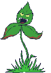 Hungry_plant_zpsvhocp62a.gif~original