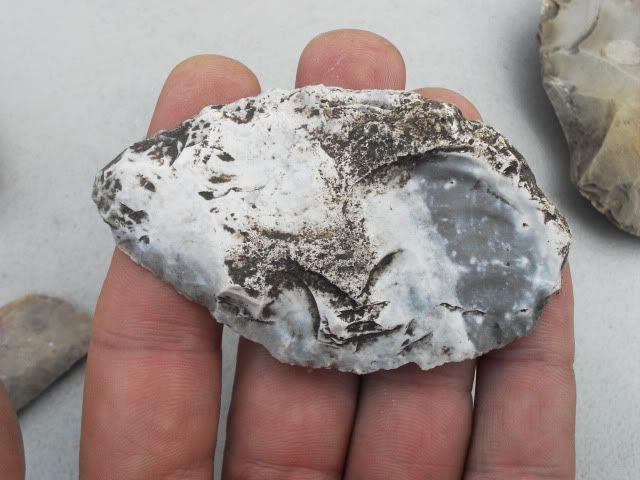 SDC11327.jpg
