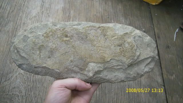 DSCI0887.jpg
