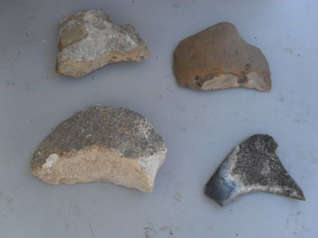 SDC10883.jpg