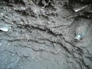 DSCN0999.jpg