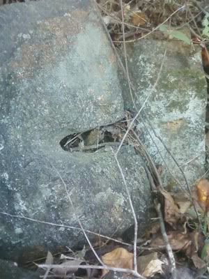 stone3.jpg