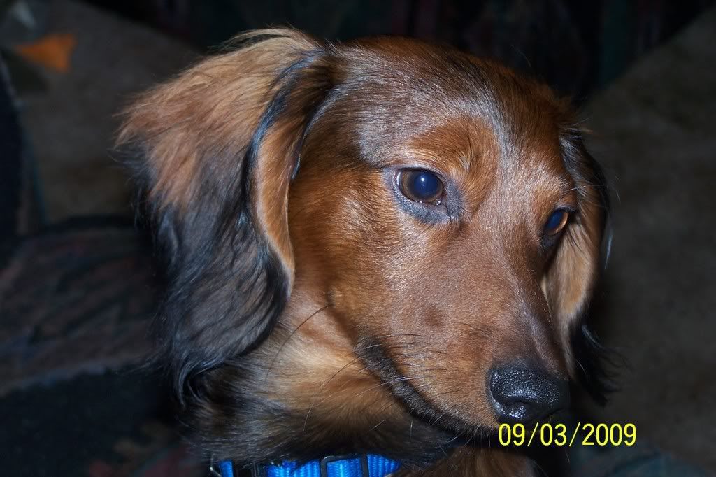 100_0708.jpg