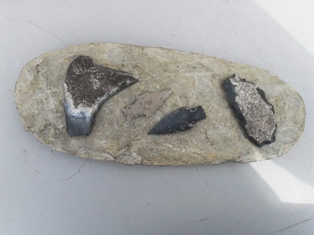 SDC11374.jpg