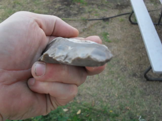 SDC10050.jpg