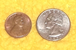 8131510
