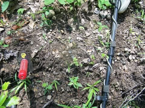 100_2963.jpg