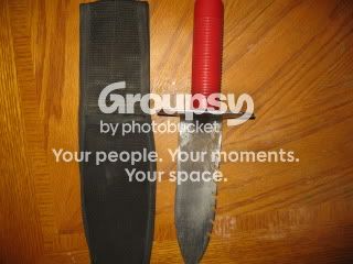 Picture004.jpg