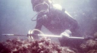 troutyDiver.jpg