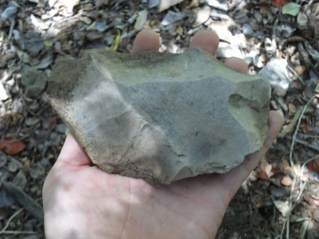 SDC10153.jpg