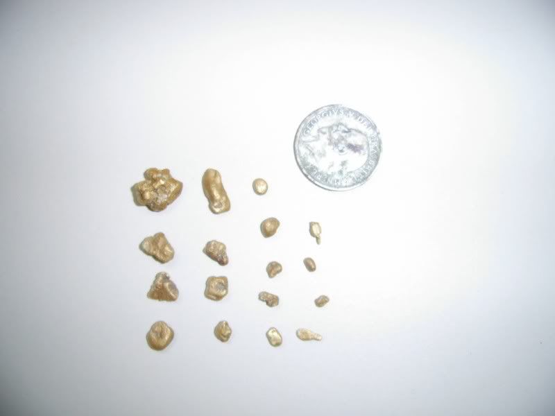 tobinsQBgold.jpg