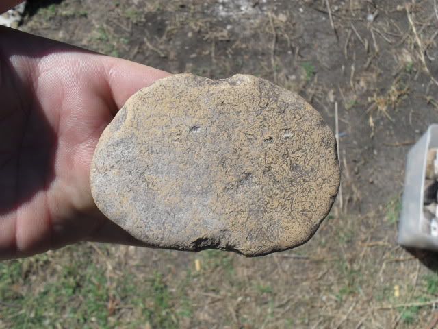 SDC10980.jpg