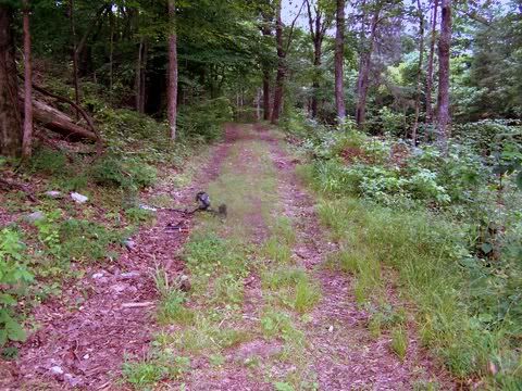 100_2958.jpg