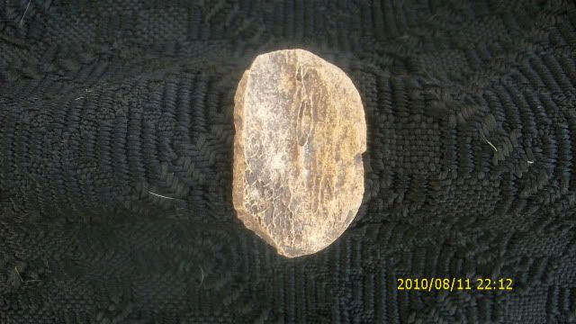 DSCI0086-1.jpg