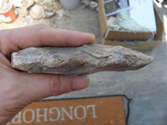 SDC10531.jpg