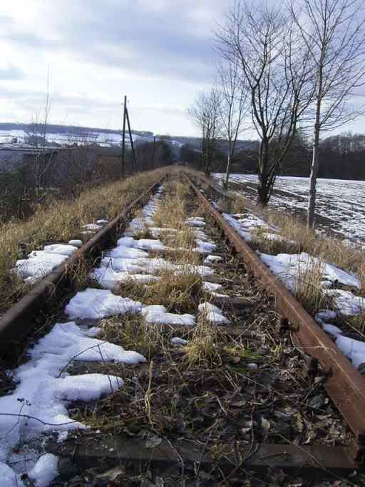 8Feb09WBRRtracks.jpg
