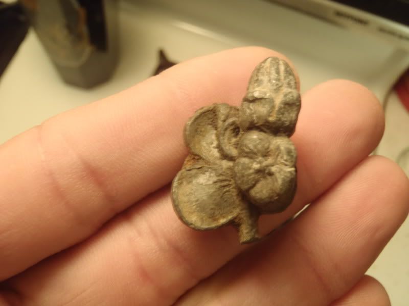 PA310254.jpg