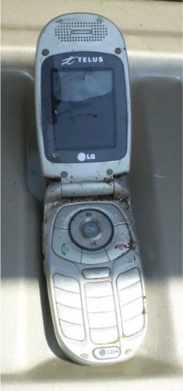 PB170003.jpg