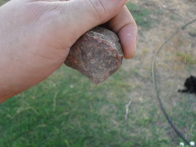 SDC10682.jpg