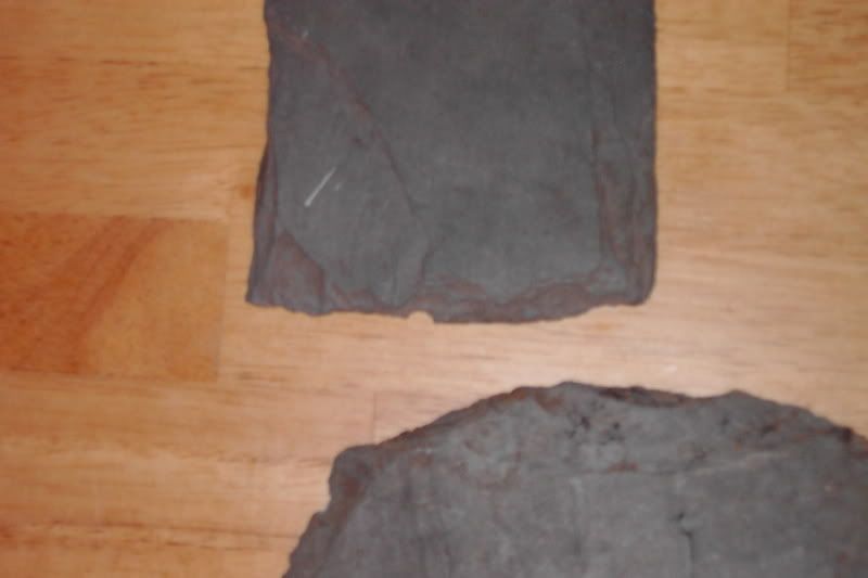 PDR_1136.jpg