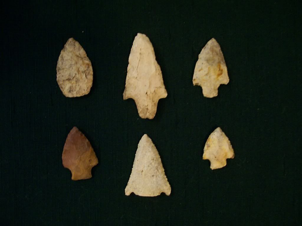 100_4900.jpg