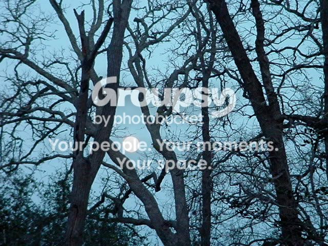 DSC01068.jpg