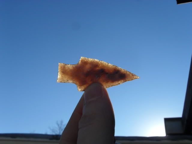 SDC10035.jpg
