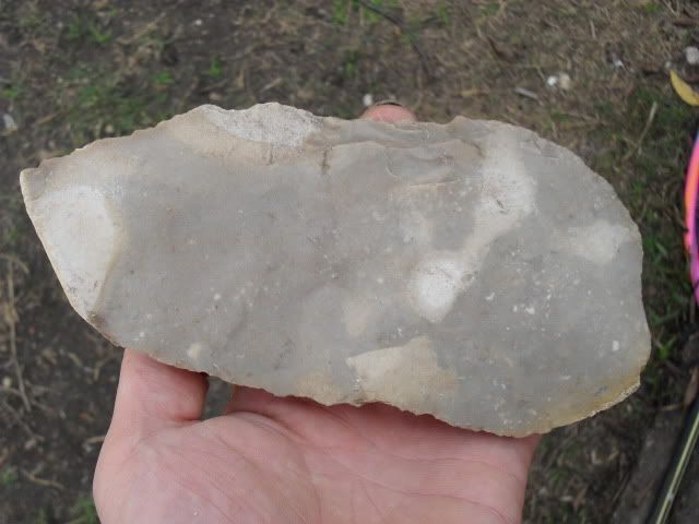 SDC10229.jpg