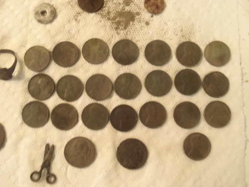 P9120204.jpg