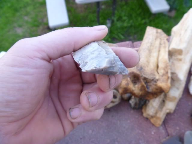 P1020155.jpg