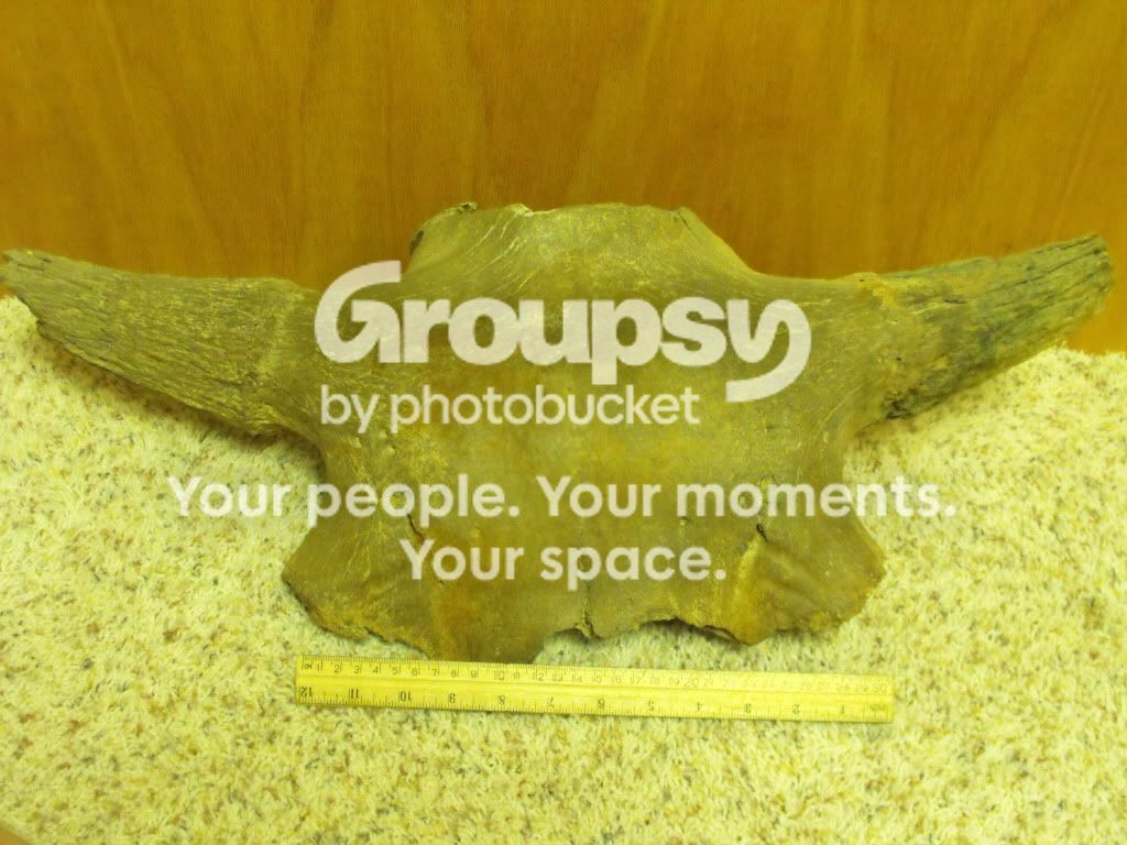 2009_0610arrowheads0058.jpg